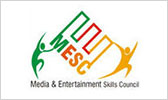 Media and Entertainment Skill Council