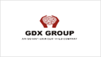 GDX GROUP OF COMPANIES